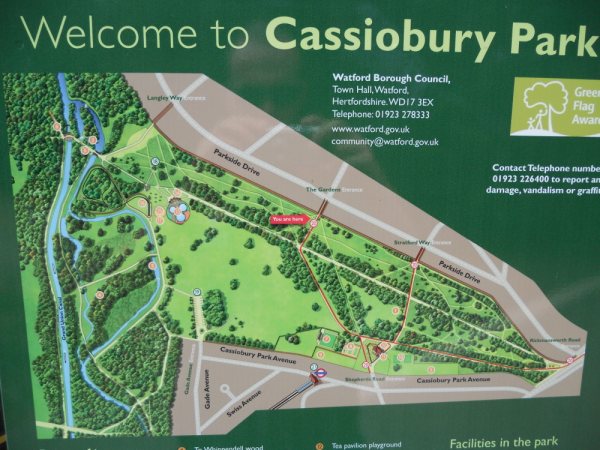 herts-bird-club-cassiobury-park-and-whippendell-woods-watford